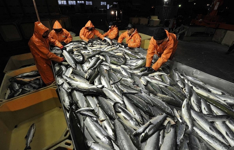 Вьетнам увеличил список российских рыбных поставщиков