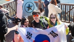 Корейцы, китайцы занимают 42% из общего числа прибывших во Вьетнам иностранцев