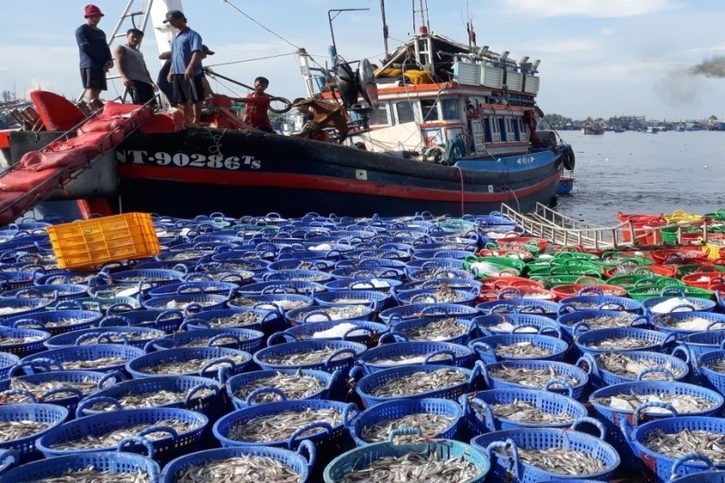 Вьетнам ввел запрет на рыбную ловлю судам, не соответствующим правилам