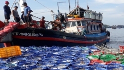 Вьетнам ввел запрет на рыбную ловлю судам, не соответствующим правилам