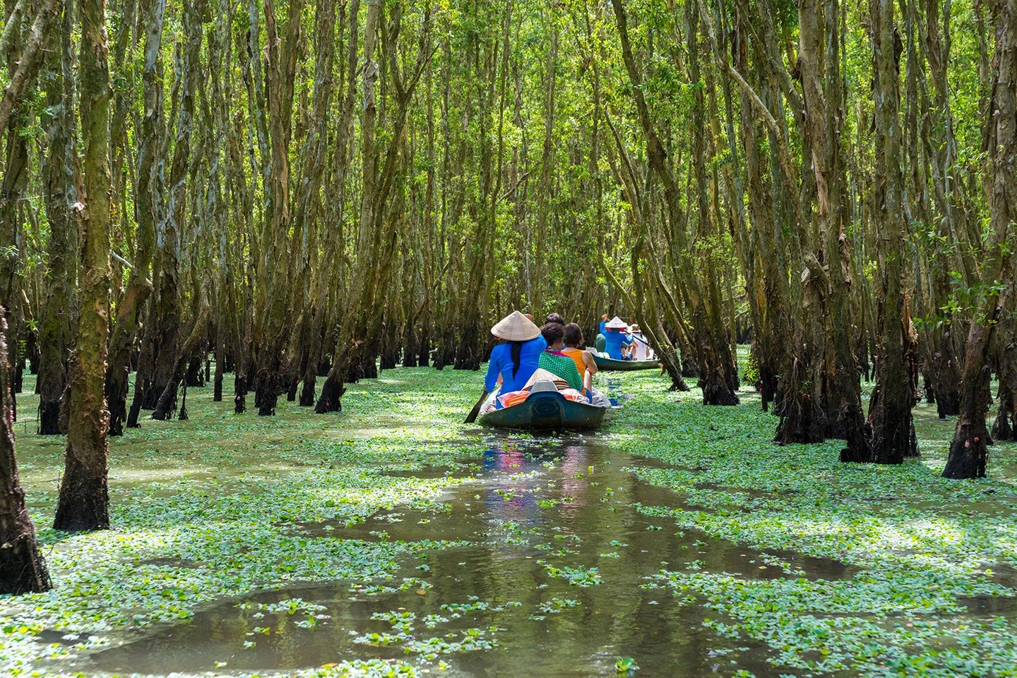 Дельта реки Меконга признана самым привлекательным местом мира