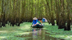 Дельта реки Меконга признана самым привлекательным местом мира