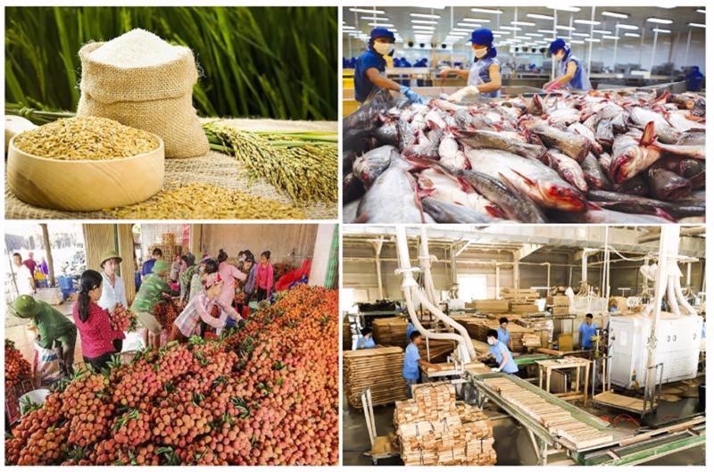 Экспорт сельскохозяйственной, лесной и рыбной продукции в январе достиг 3,7 млрд. долл. США