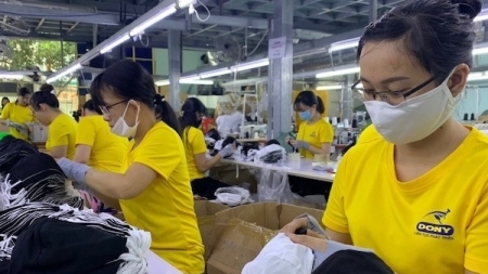 хошимин привлекает работников сферы услуг и промышленности