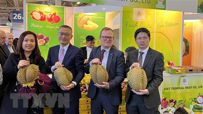 Вьетнамские предприятия принимают участие в ярмарке «Fruit Logistica»