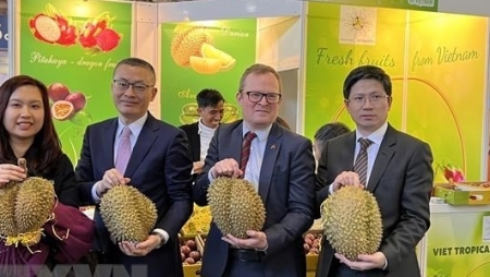 Вьетнамские предприятия принимают участие в ярмарке «Fruit Logistica»