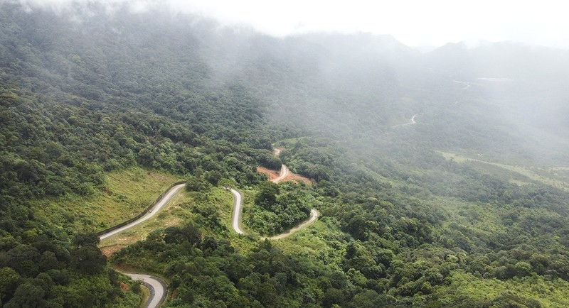 Первый общественный лес во Вьетнаме получил международный сертификат