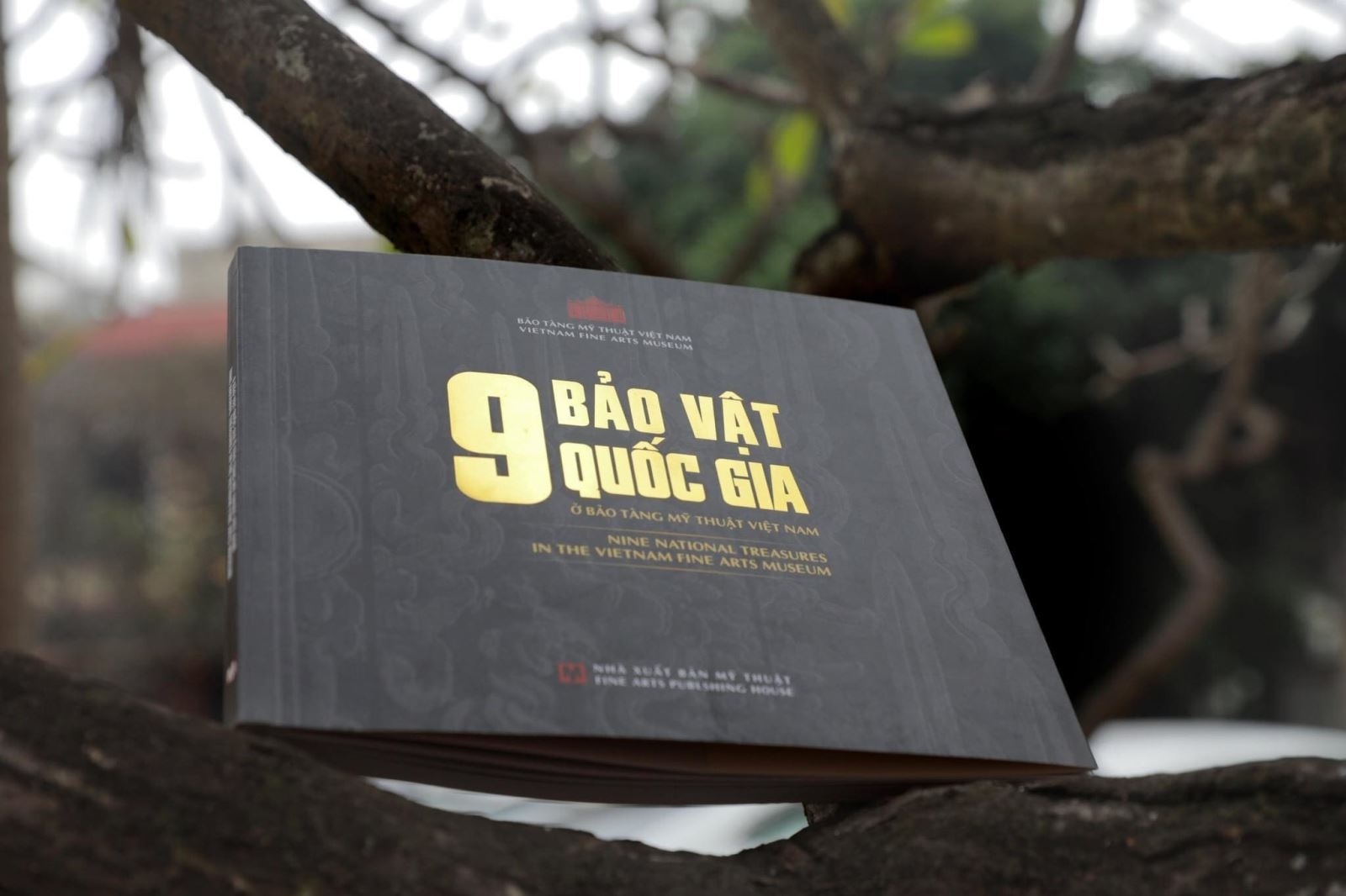 Выпуск двуязычной книги «Девять национальных сокровищ во Вьетнамском национальном музее изящных искусств»