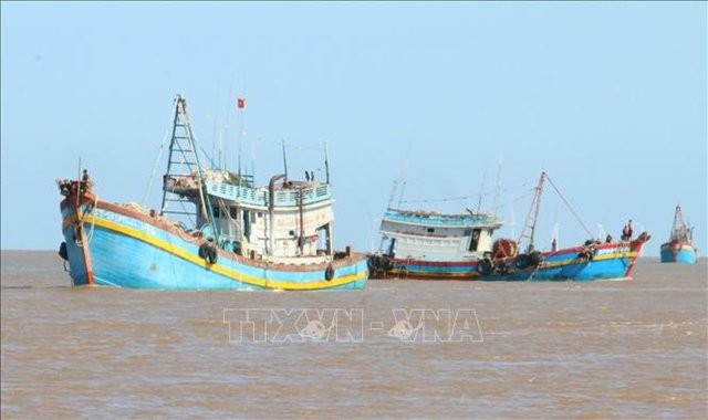 Провинция Бенче призвала рыбаков бороться с браконьерством