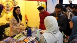 Вьетнам принял участие в культурном фестивале Sakia в Каире