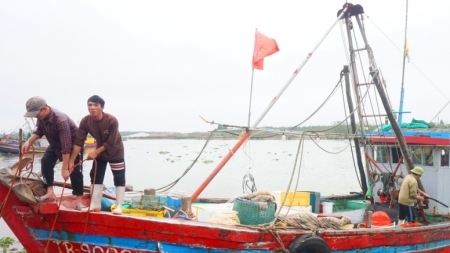 Рыбаки провинции Тхайбинь полны решимости отменить «желтую карточку» по ННН-промыслу морепродуктов