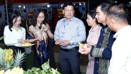 Выставка-ярмарка торговли, инвестиций и туризма в «треугольнике развития Камбоджи, Лаоса и Вьетнама»