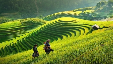 Стратегическое развитие туризма во Вьетнаме: курс на устойчивость и инновации