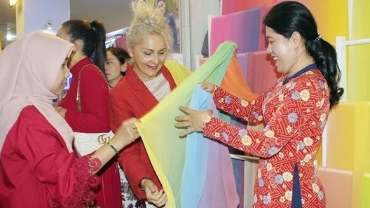 Представление вьетнамских платьев «Аозай» дипредставительствам