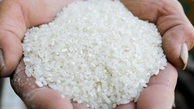 Экспортная цена вьетнамского риса лидирует в мире
