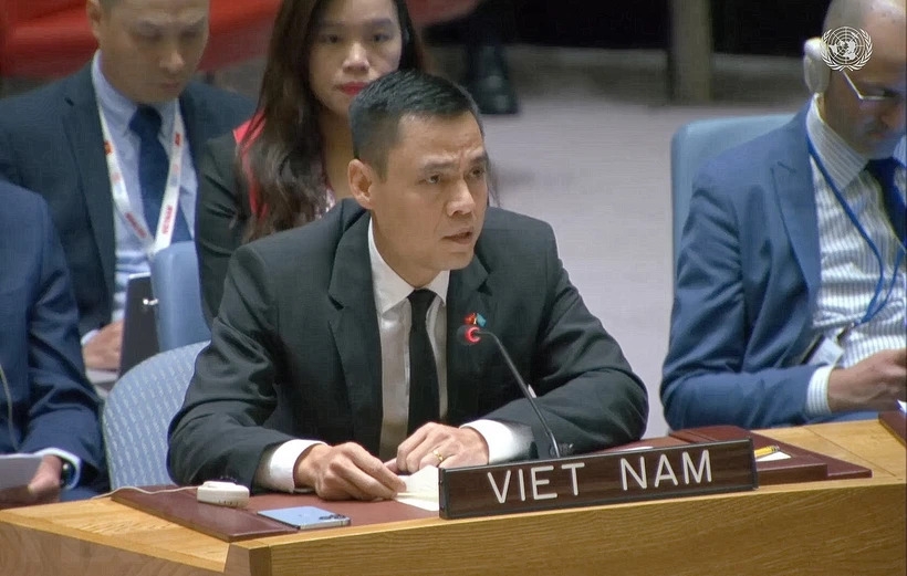 Вьетнам призывает к прекращению огня и предотвращению  гуманитарного кризиса в секторе Газа