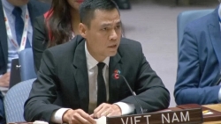 Вьетнам призывает к прекращению огня и предотвращению  гуманитарного кризиса в секторе Газа