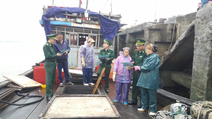 Решительное устранение существующих проблем в борьбе с незаконным выловом рыбы в провинции Тханьхоа