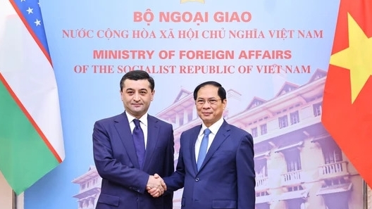 Состоялись переговоры между МИД Вьетнама и Узбекистана