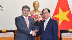 Министр иностранных дел Буй Тхань Шон принял посла Армении во Вьетнаме
