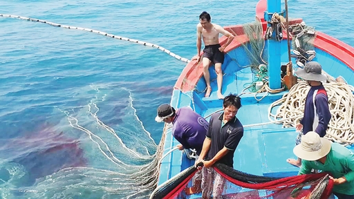 ЕС высоко оценивает и ожидает прогресса от Вьетнама в управлении рыболовными судами
