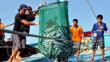 Программа действий Правительства по борьбе с нелегальным рыболовством