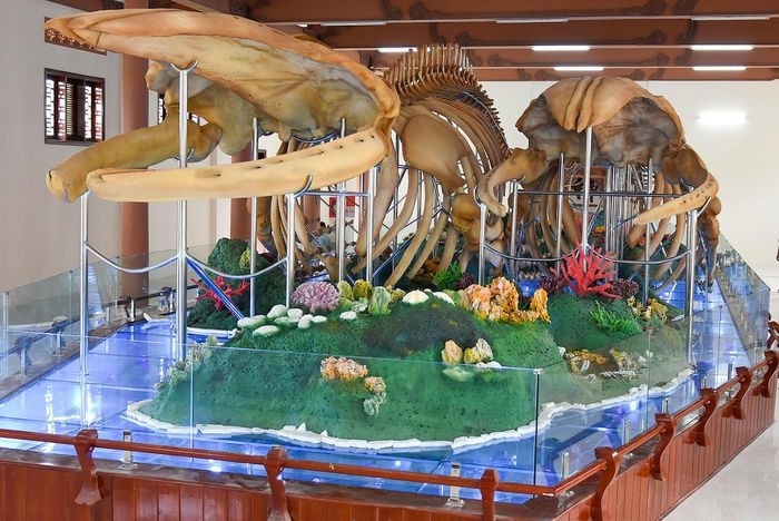 Самый большой скелет кита во Вьетнаме на острове Лигон привлекает туристов