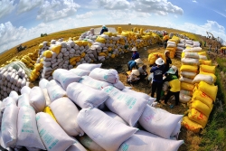 Вьетнам продвигает экспорт продовольствия на мировой рынок