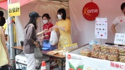 Вьетнамские фрукты привлекают внимание на фестивале в Токио