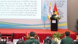 Вьетнам председательствует на пленарном заседании Ассоциации миротворческих центров ООН в Азиатско-Тихоокеанском регионе в 2022 году