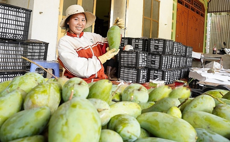 Расширенный потенциал для экспорта вьетнамской сельхозпродукции на рынок ЕС