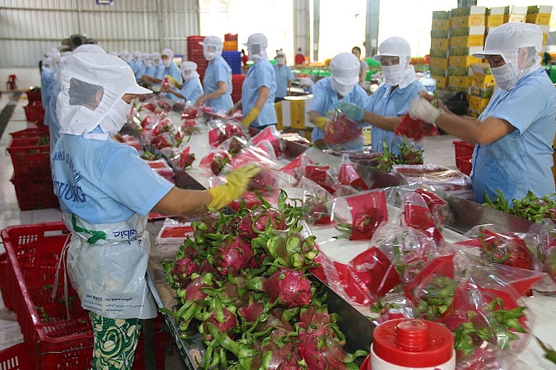 Оборот экспорта фруктов и овощей за 5 месяцев достиг $1,4 млрд