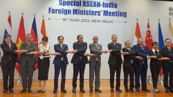 Буй Тхань Шон принял участие в специальном заседании министров иностранных дел АСЕАН-Индия