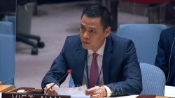 Вьетнам принял участие в заседании по гуманитарным вопросам Социально-экономического совета ООН