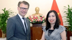 Укрепление сотрудничества между Вьетнамом и ЕС во многих областях