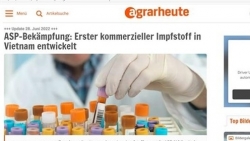 Немецкие СМИ: Вьетнаму удалось разработать вакцину против африканской чумы свиней