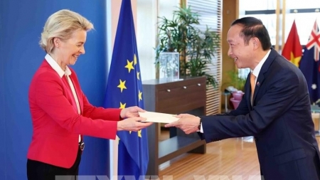 ЕС придает важное значение роли Вьетнама