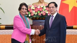 Министр иностранных дел Буй Тхань Шон принял регионального директора ПРООН по Азии