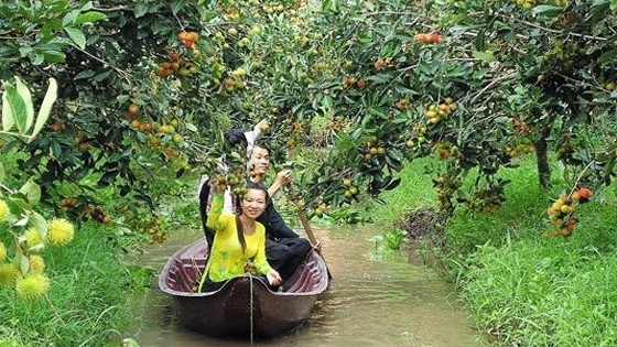 Лучшие дома отдыха провинции Виньлонг по версии АСЕАН