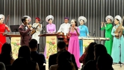 Традиционные вьетнамские музыкальные инструменты были представлены в Сингапуре