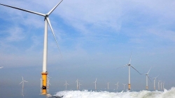 «Вьетсовпетро» и EVNGENCO 1 планирует реализовать проекты по производству ветроэнергетических установок в провинции Чавинь