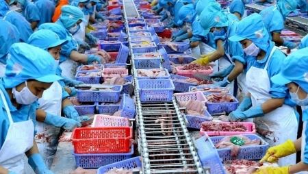 Экспорт продукции сельского, лесного и рыбного хозяйств увеличился более чем на 13%