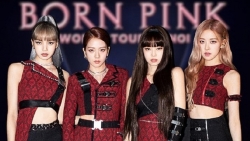 Ожидается, что после успешных концертов Blackpink во Вьетнаме будут проводиться международные концерты