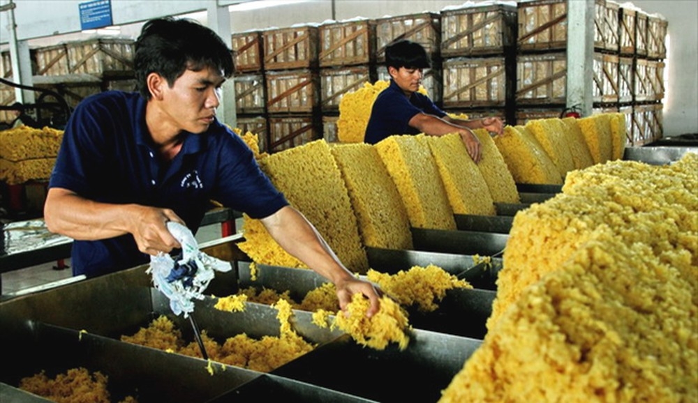 Июнь: Экспорт вьетнамского каучука в Россию неожиданно вырос более чем на 1000%