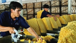 Июнь: Экспорт вьетнамского каучука в Россию неожиданно вырос более чем на 1000%