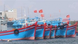Провинция Хайфон полна решительности снять «золотую карточку» в отношении вьетнамских морепродуктов
