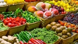 Впечатляющий рост экспорта сельскохозяйственной продукции Вьетнама