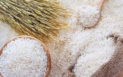 Долгосрочная стратегия по экспорту риса и стабилизации рынка