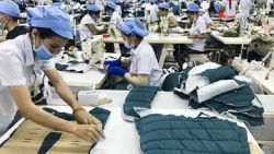 Укрепление инвестиционного сотрудничества между Вьетнамом и Южной Кореей в текстильно-швейной промышленности