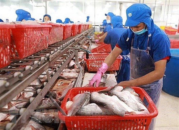 Экспорт рыбной продукции резко упал из-за социального дистанцирования